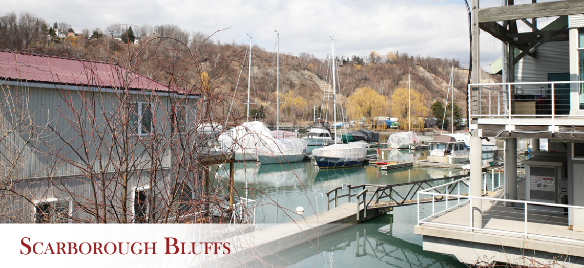Boats docked at the Scarborough Bluffs marina